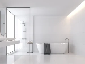 Overview of the Tub-in-Shower Concept